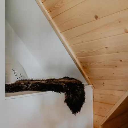 Ferienhaus Biolo I Corno Izba Mountain *